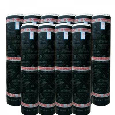 山西廠家直銷sbs防水卷材,低價更保質(zhì)量就是圣龍-濟南功能材料